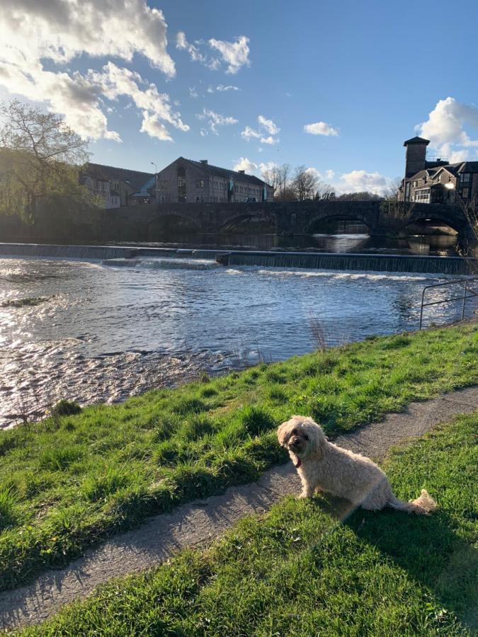 Cosy 1st Floor Flat - District With Bike Storage Kendal